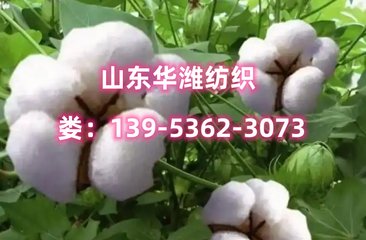 纯棉纱产品